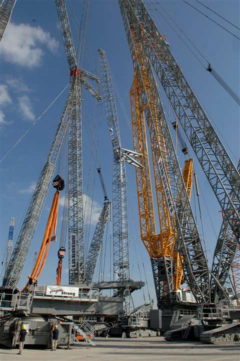 Liebherr cranes on display at the company's open day last year